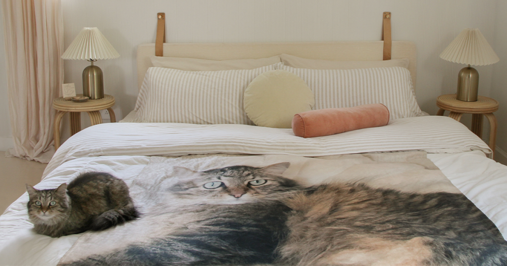 Grey cat sits on top of  a bed with a photo blanket of the cat