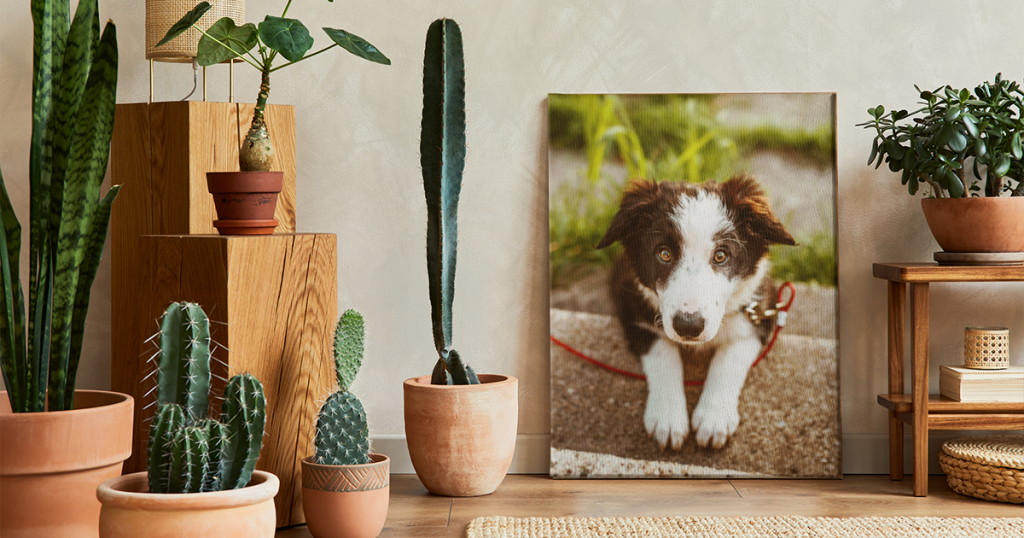 A picture sits against a wall surrounded by cactus and furniture